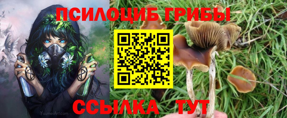 Галлюциногенные грибы Magic Shrooms Гуково