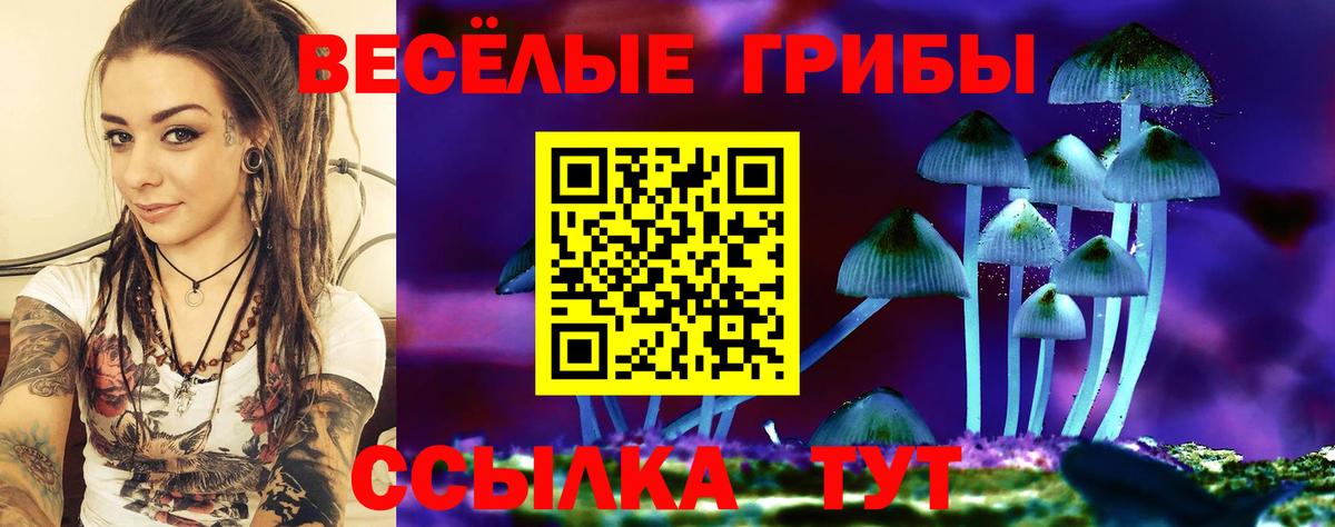 Галлюциногенные грибы MAGIC MUSHROOMS  Псилоцибиновые грибы мицелий  Гуково  Вход с VPN 